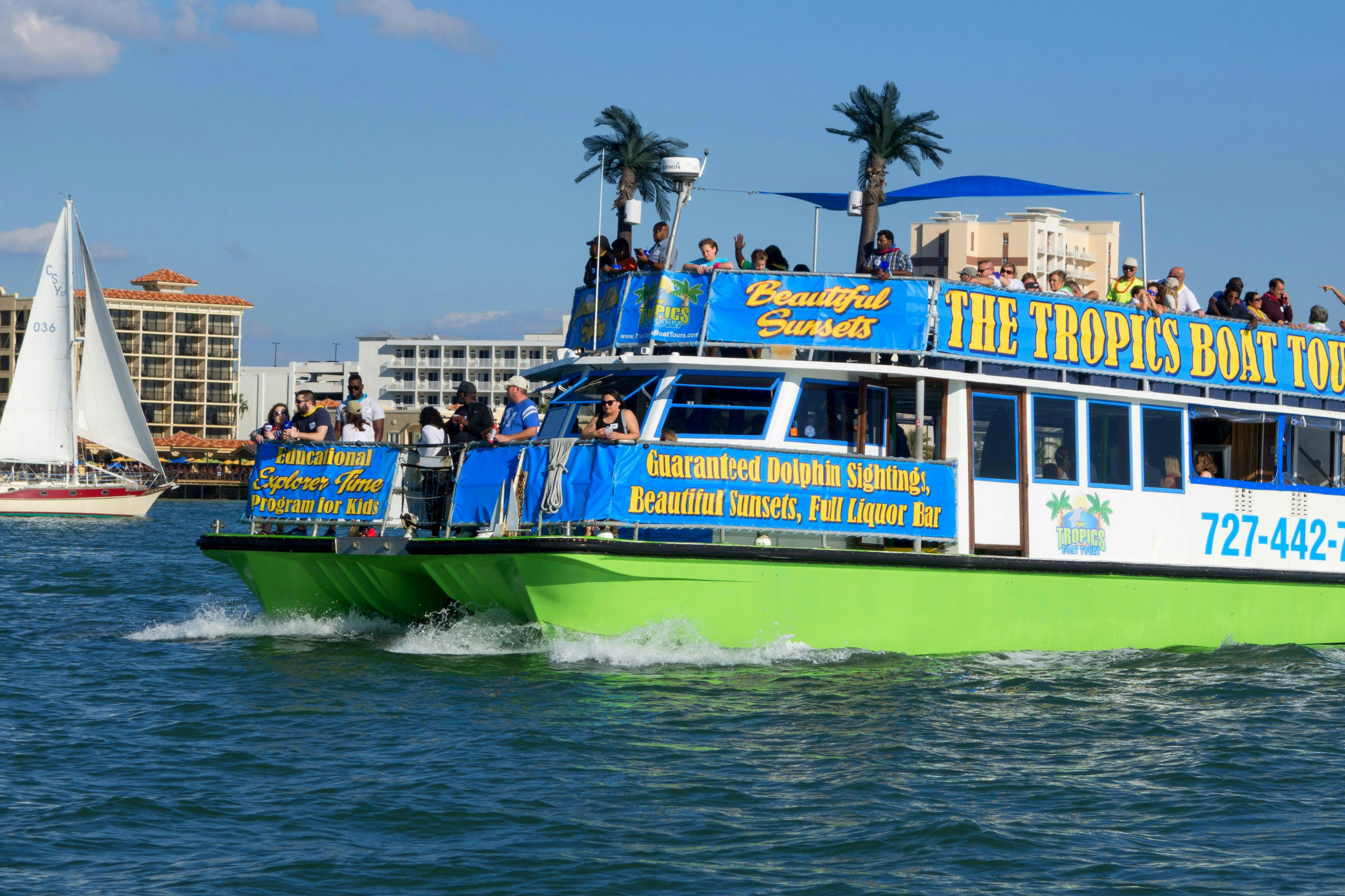 Clearwater: Guided Dolphin Exploration Cruise - Photo 1 of 6